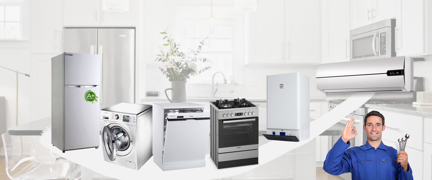 Arhavi Philips Servisi